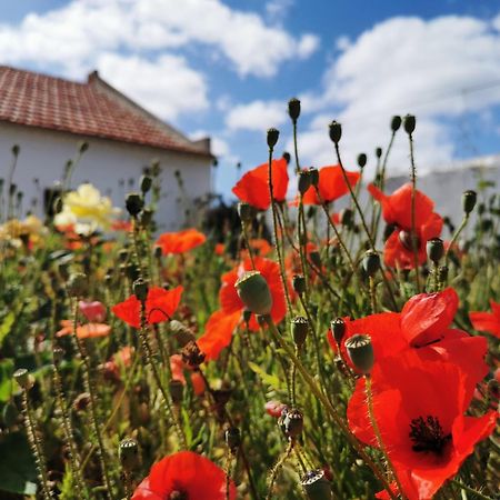 Al Mar Guesthouse São Luís Eksteriør bilde
